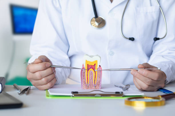 Best Chipped Tooth Repair Near Me  in Manson, WA